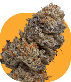 A nug.